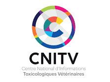 cnitv virtual.